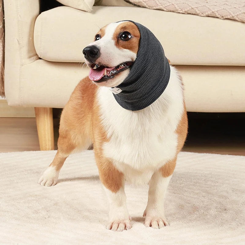 "dog wearing noise-canceling ear muffs"
