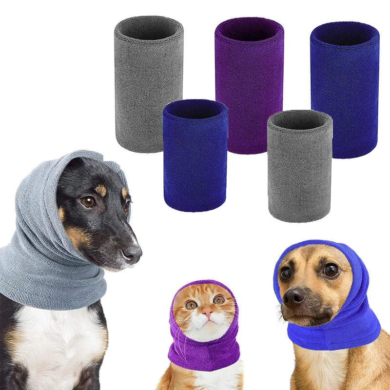 "dog wearing noise-canceling ear muffs"