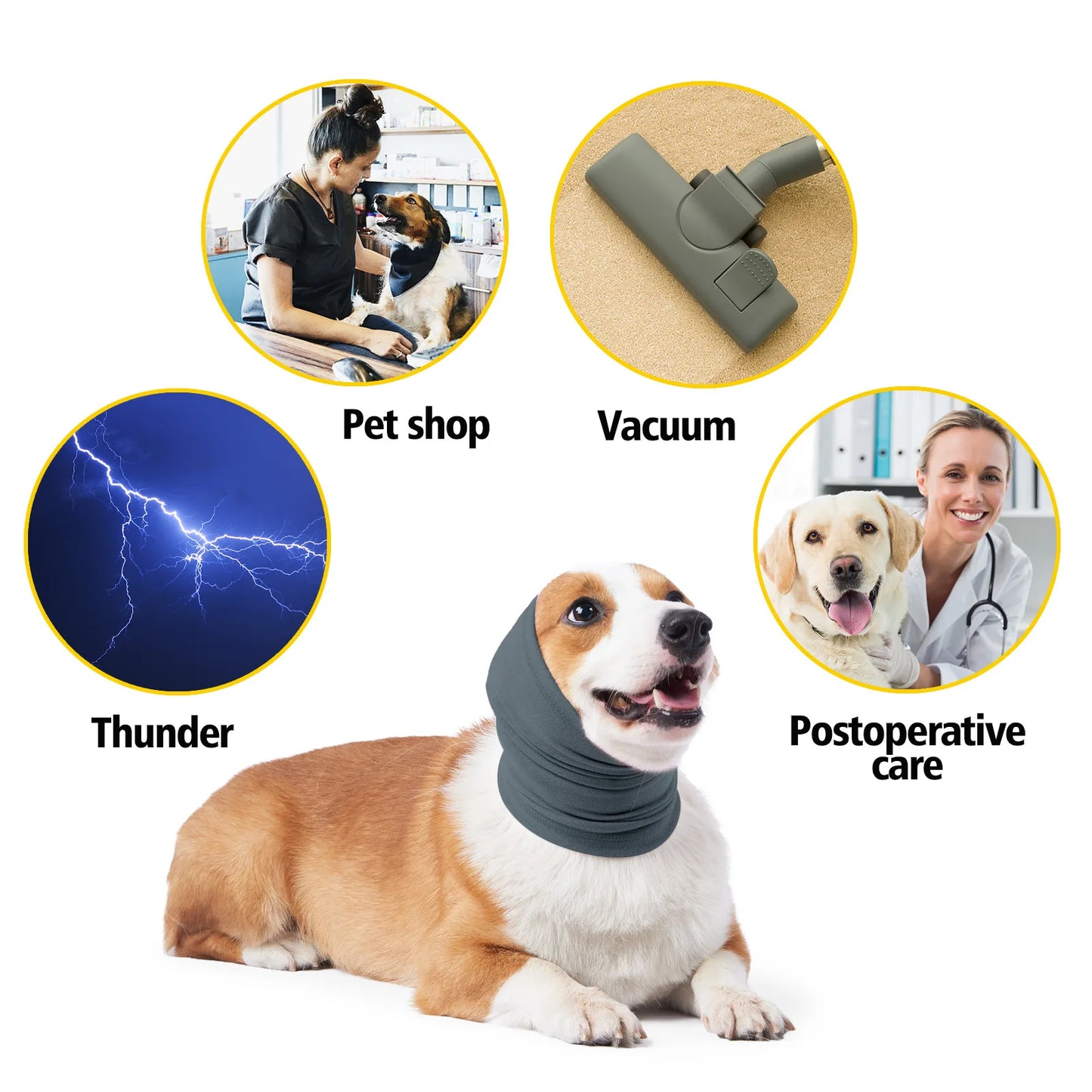 "dog wearing noise-canceling ear muffs"