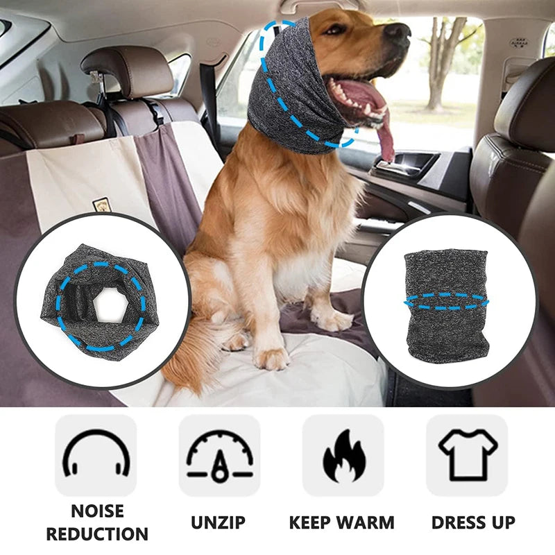 "dog wearing noise-canceling ear muffs"