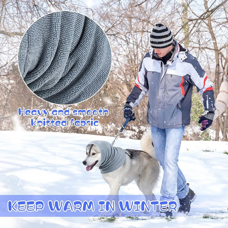 "dog wearing noise-canceling ear muffs"


