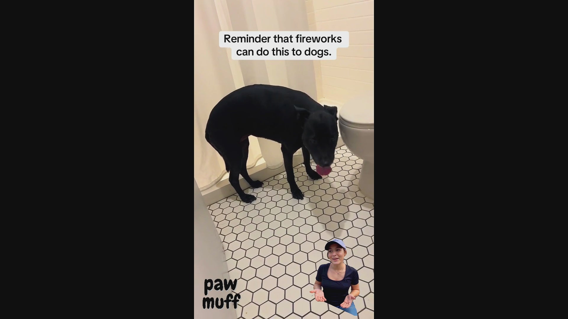Load video: Dog calmly sitting while wearing noise-canceling earmuffs indoors, showing the product’s effectiveness in reducing anxiety and loud noise stress